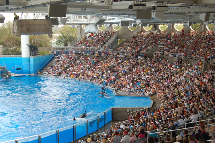 07-03-02, 136, Shamu 'Believe', Sea World, FL