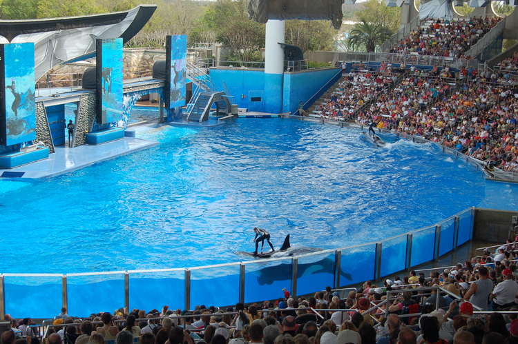 07-03-02, 137, Shamu 'Believe', Sea World, FL