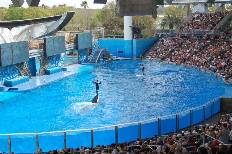 07-03-02, 139, Shamu 'Believe', Sea World, FL