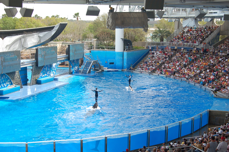 07-03-02, 140, Shamu 'Believe', Sea World, FL