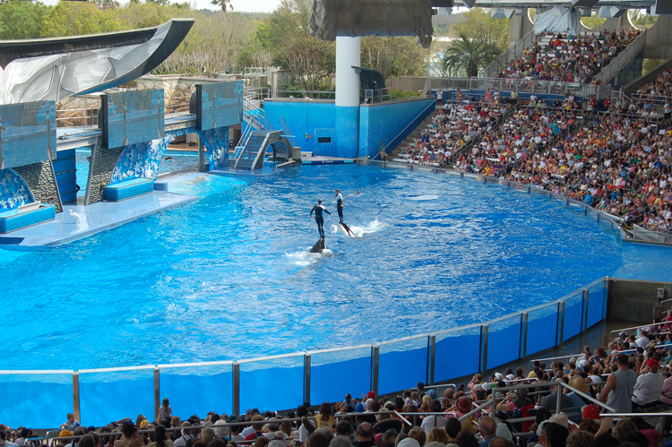 07-03-02, 141, Shamu 'Believe', Sea World, FL