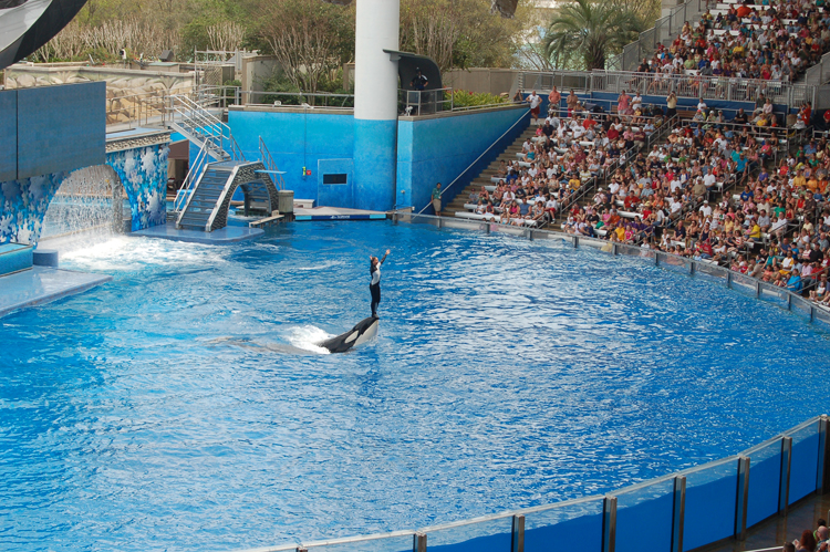 07-03-02, 145, Shamu 'Believe', Sea World, FL