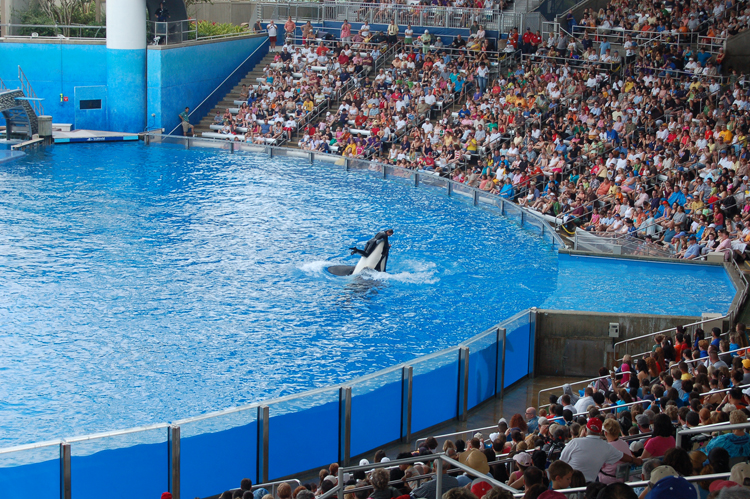 07-03-02, 147, Shamu 'Believe', Sea World, FL