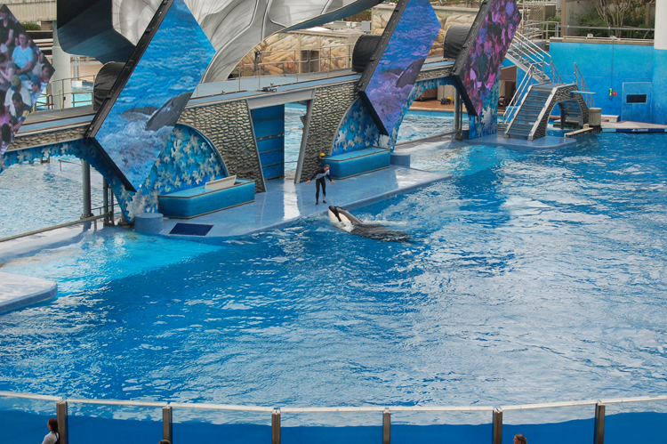 07-03-02, 149, Shamu 'Believe', Sea World, FL