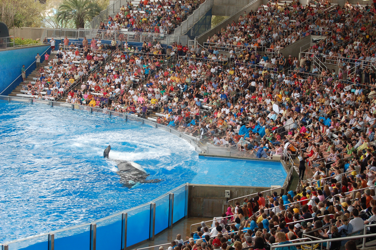 07-03-02, 150, Shamu 'Believe', Sea World, FL