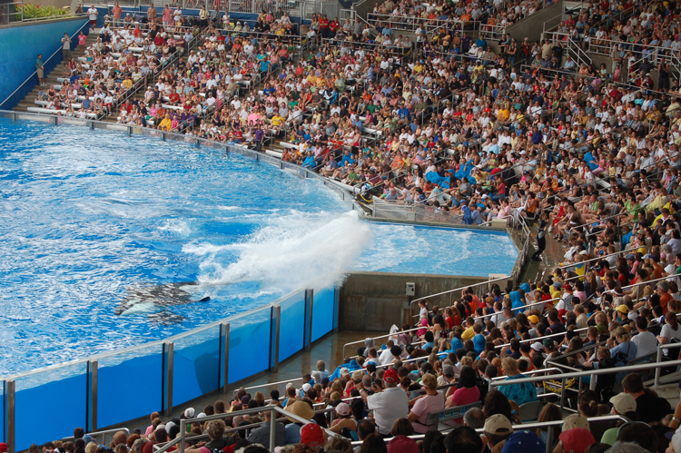 07-03-02, 151, Shamu 'Believe', Sea World, FL