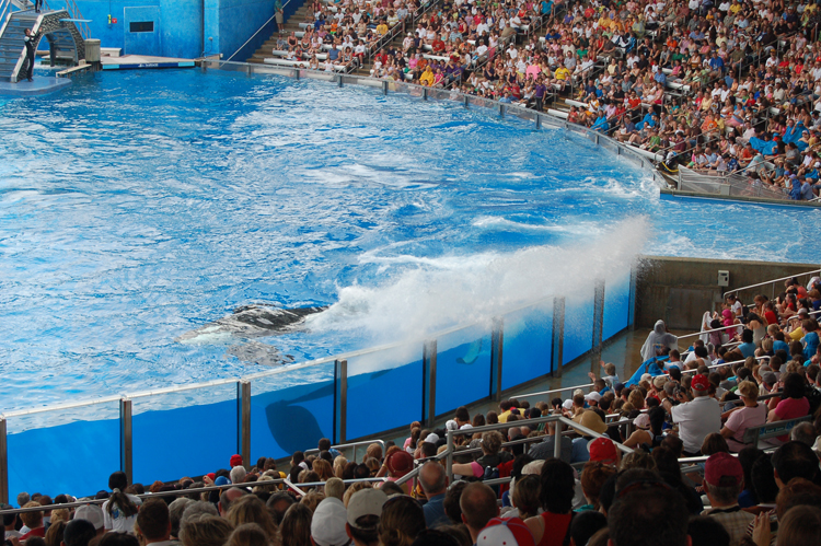 07-03-02, 152, Shamu 'Believe', Sea World, FL