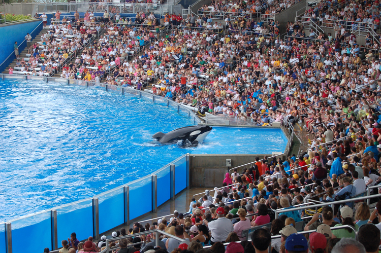 07-03-02, 154, Shamu 'Believe', Sea World, FL