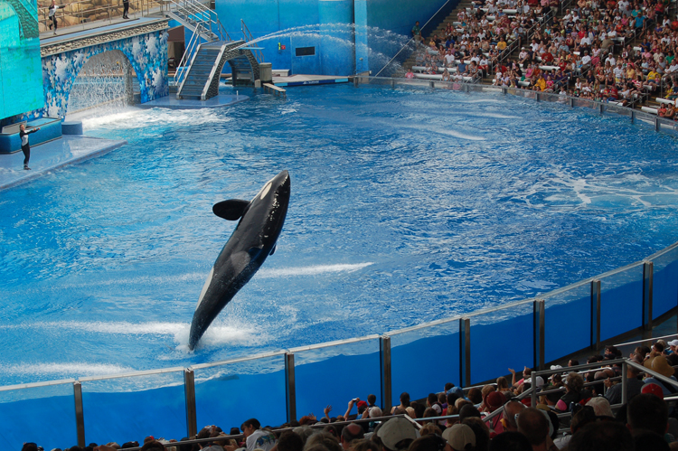 07-03-02, 157, Shamu 'Believe', Sea World, FL