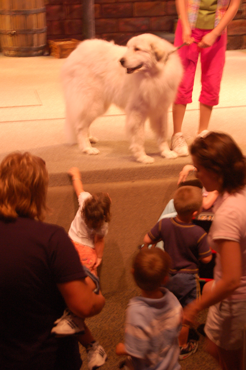 07-03-02, 170, Pets Ahoy, Sea World, FL