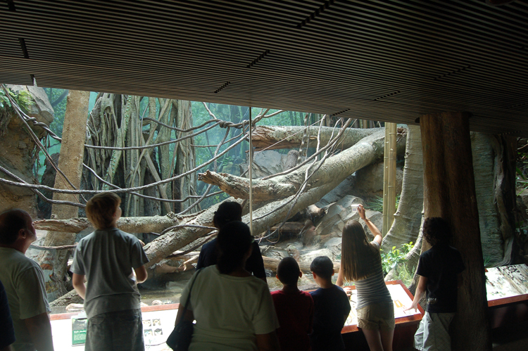 07-07-06, 118, Bronx Zoo, NYC