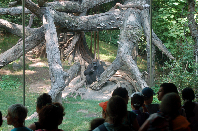 07-07-06, 124, Bronx Zoo, NYC