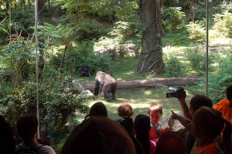 07-07-06, 130, Bronx Zoo, NYC