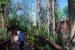 08-03-02, 017,  Dinosuar World, Fla