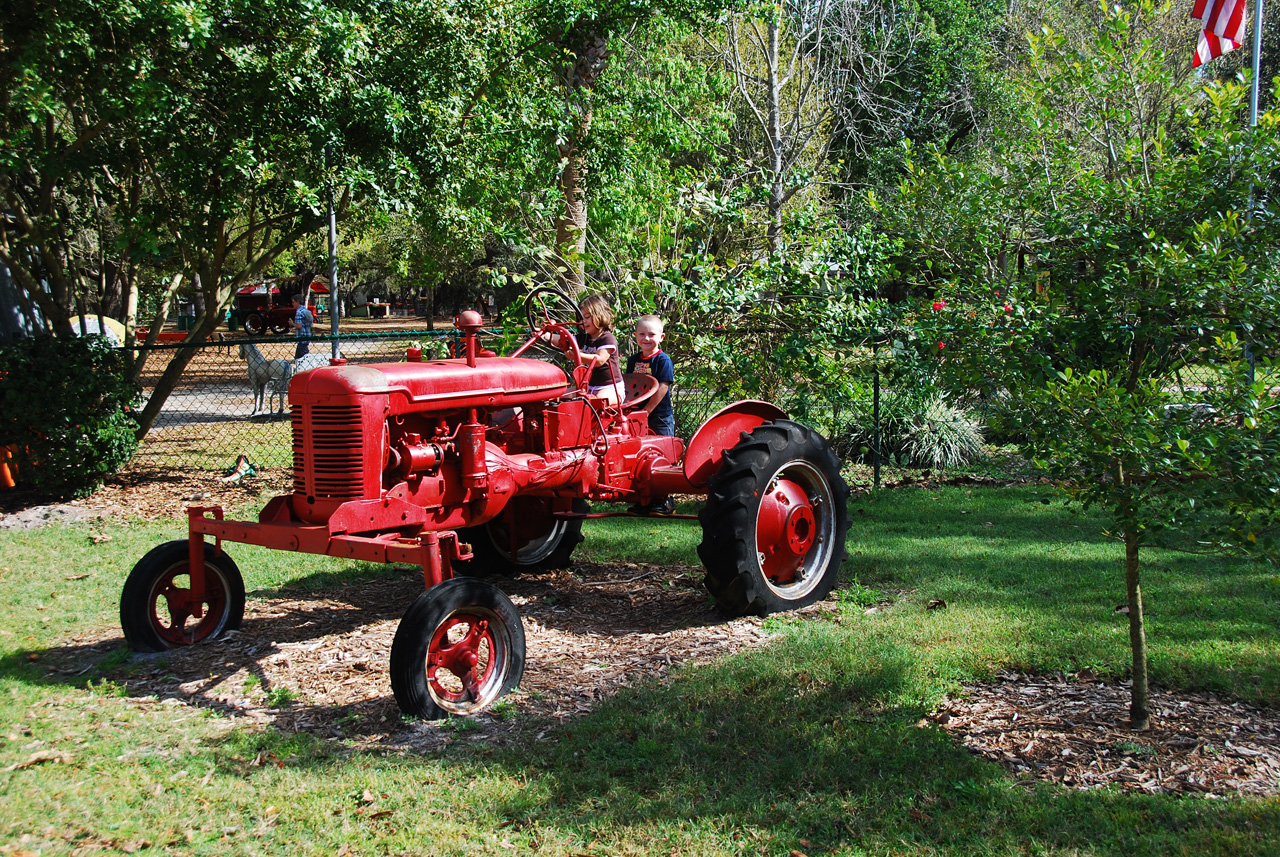 08-03-03, 003, Green Meadows Farm, Fla