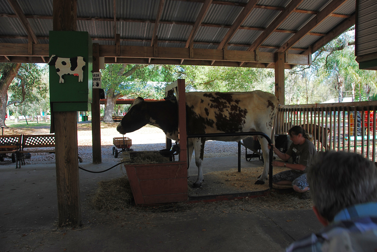 08-03-03, 006, Green Meadows Farm, Fla