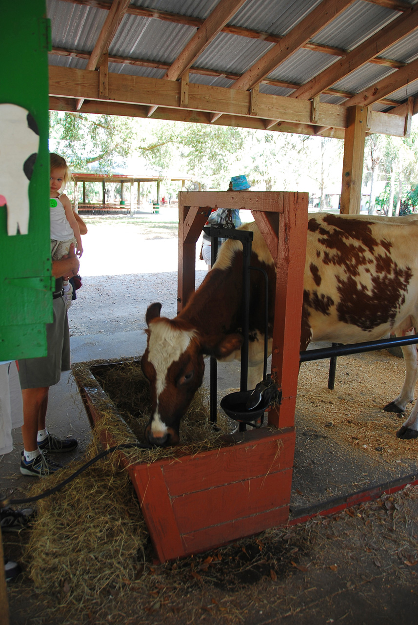 08-03-03, 008, Green Meadows Farm, Fla