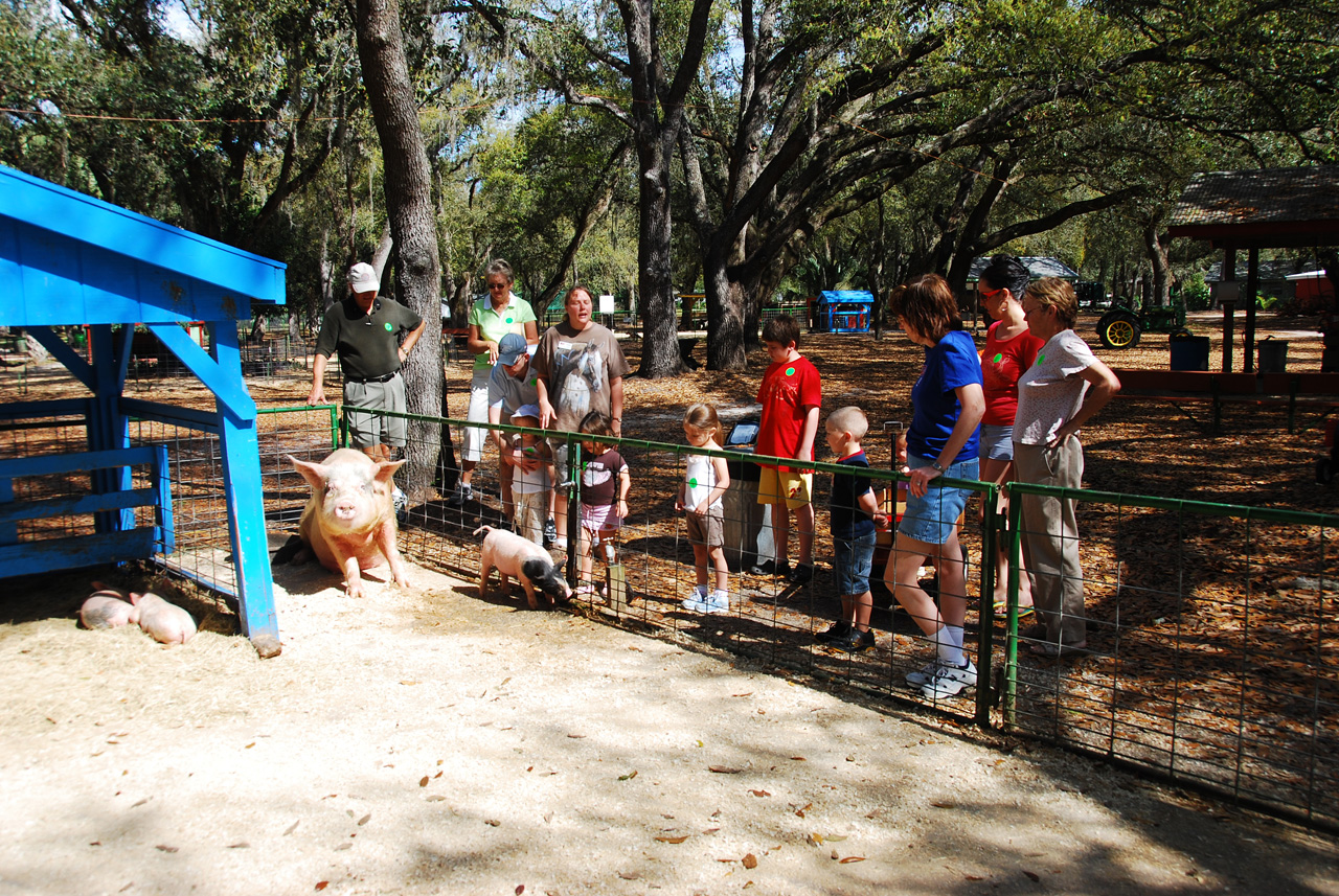 08-03-03, 030, Green Meadows Farm, Fla