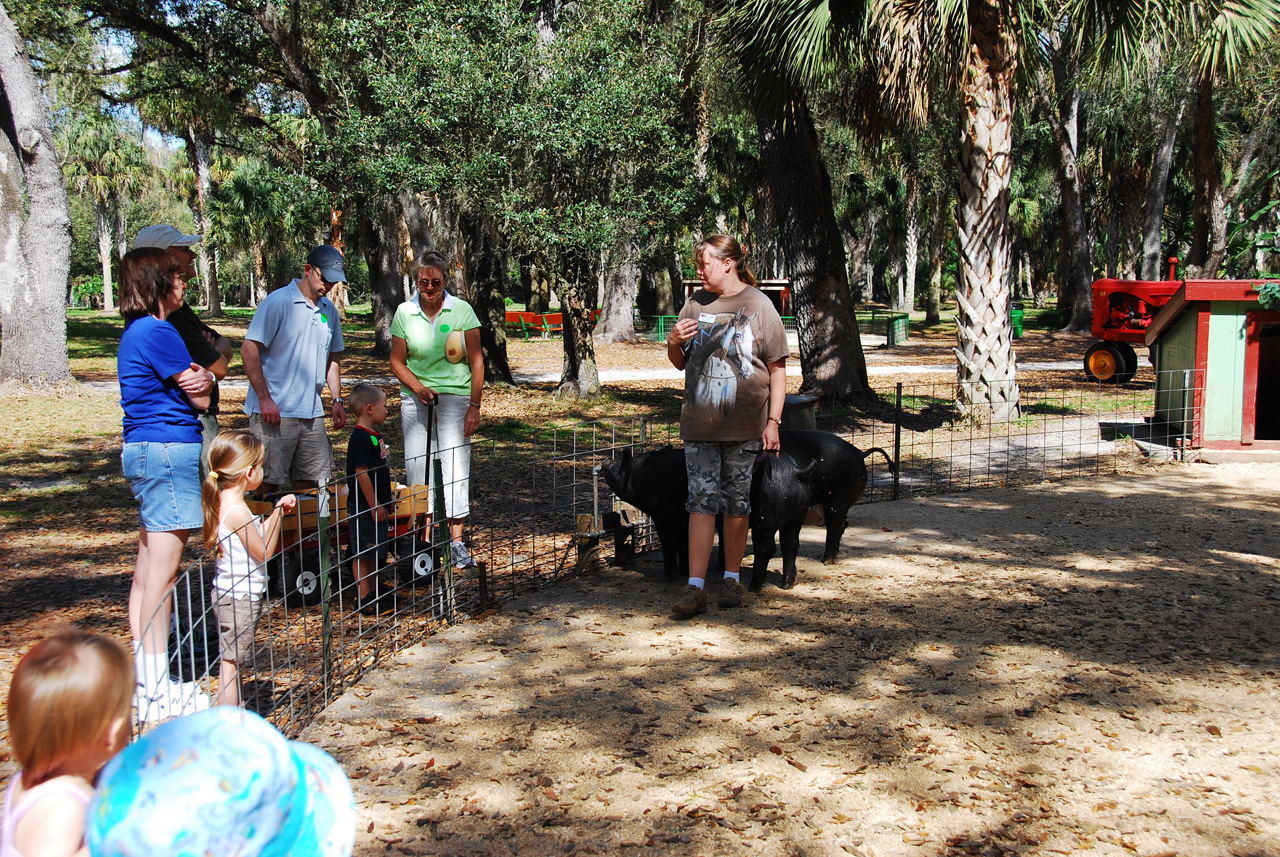 08-03-03, 031, Green Meadows Farm, Fla