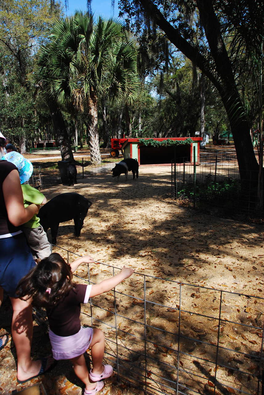 08-03-03, 032, Green Meadows Farm, Fla