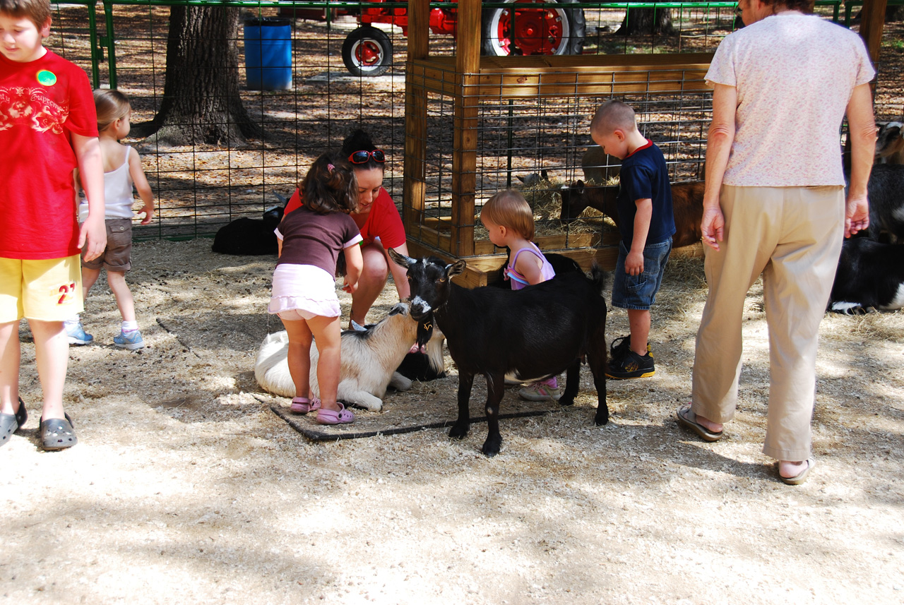 08-03-03, 034, Green Meadows Farm, Fla