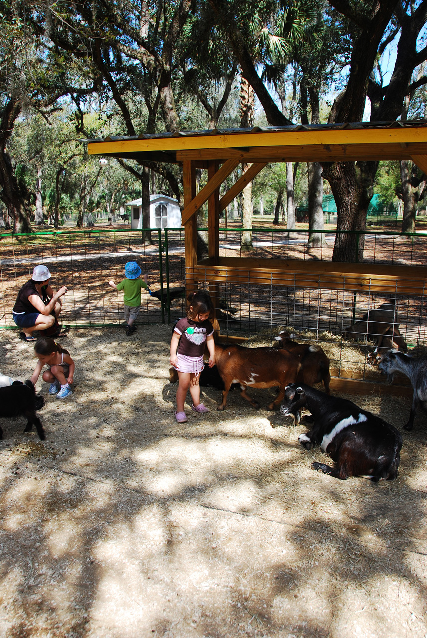 08-03-03, 036, Green Meadows Farm, Fla