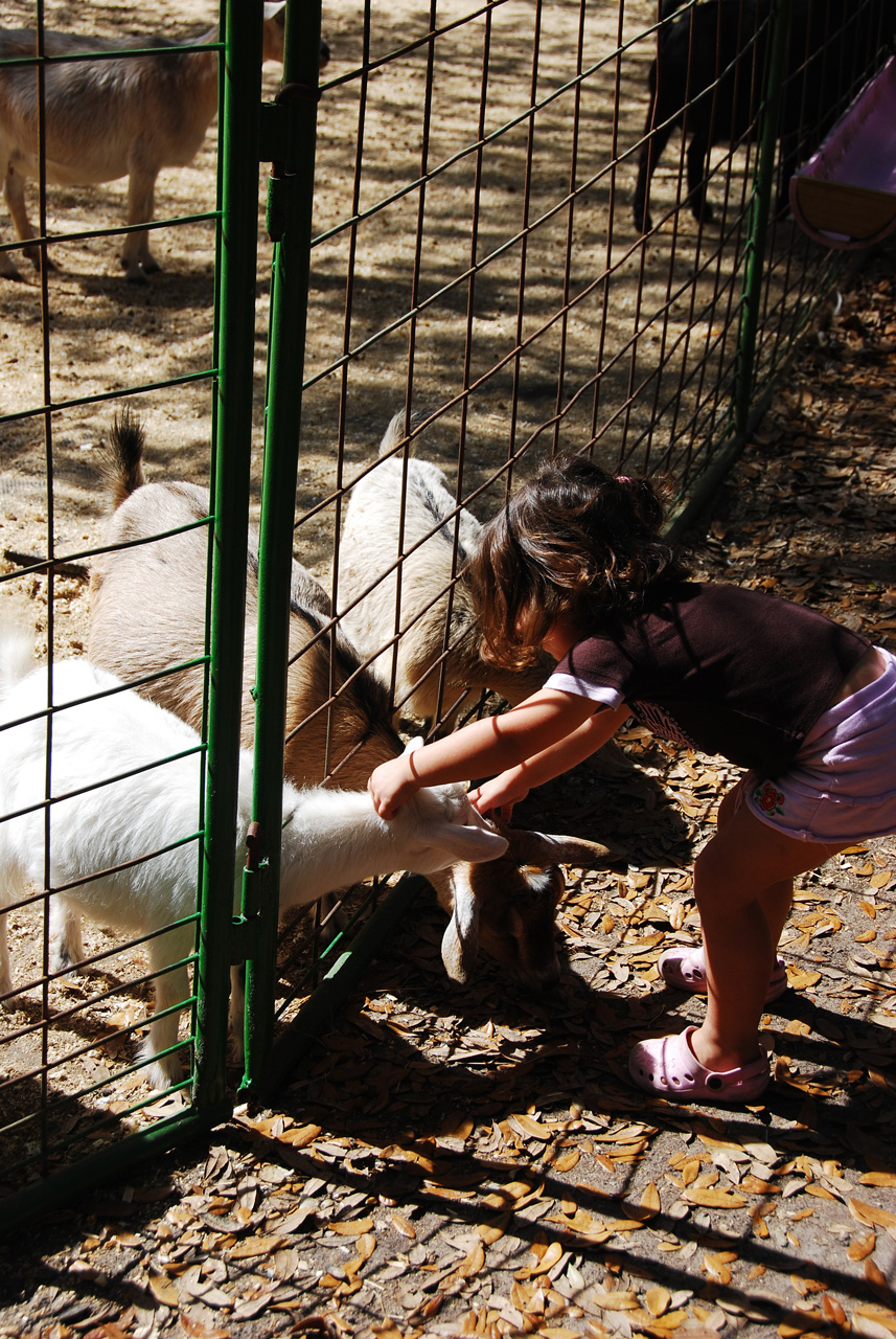 08-03-03, 038, Green Meadows Farm, Fla