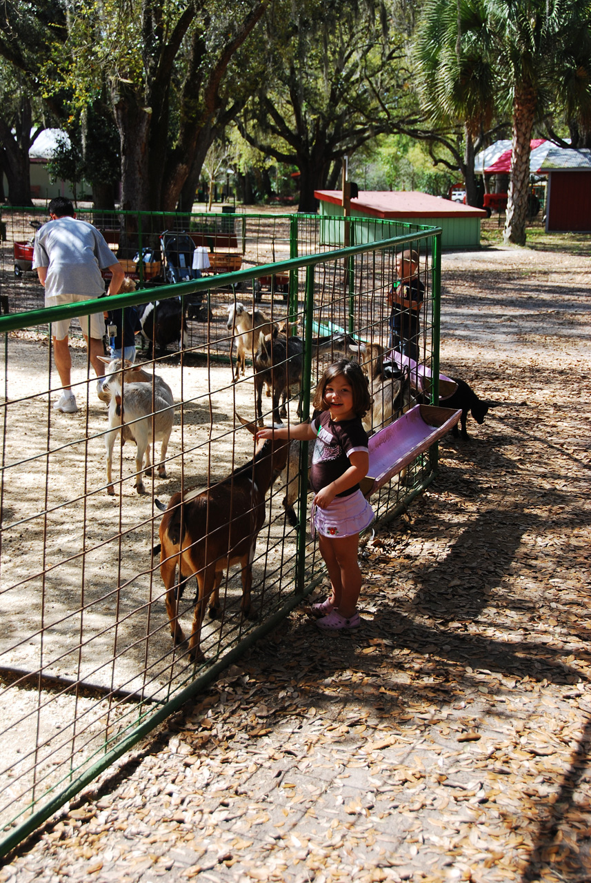 08-03-03, 041, Green Meadows Farm, Fla