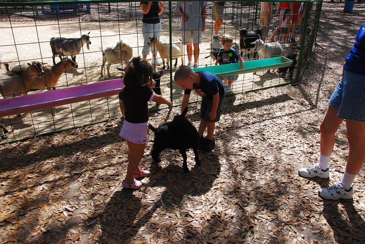 08-03-03, 042, Green Meadows Farm, Fla