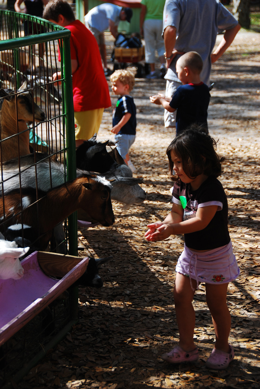 08-03-03, 044, Green Meadows Farm, Fla