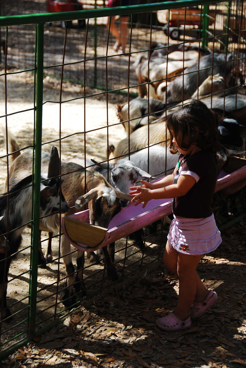 08-03-03, 048, Green Meadows Farm, Fla