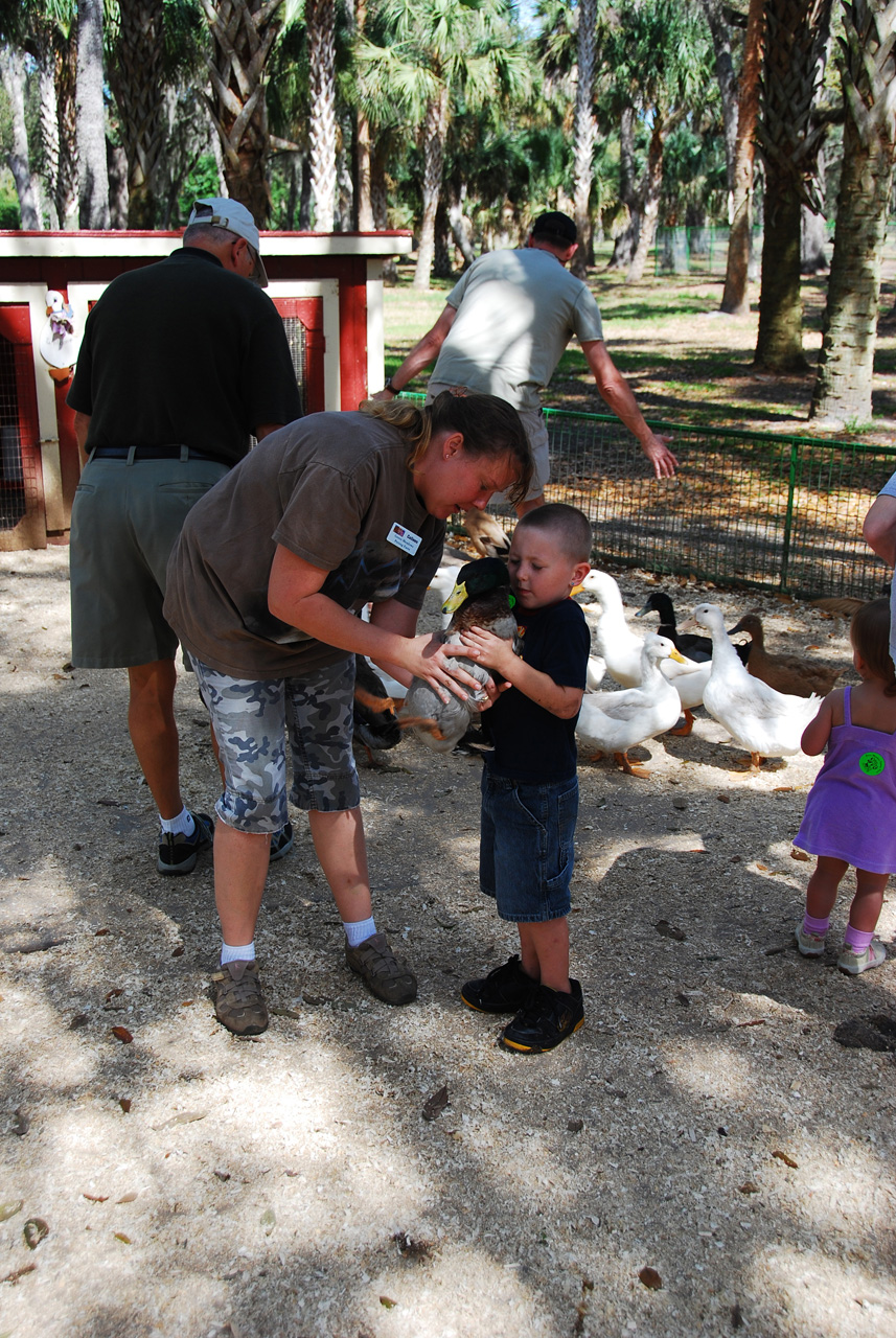 08-03-03, 054, Green Meadows Farm, Fla