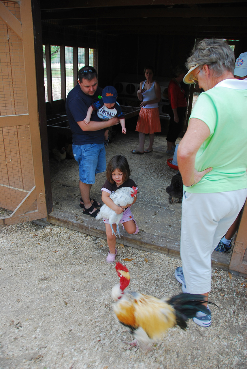 08-03-03, 091, Green Meadows Farm, Fla