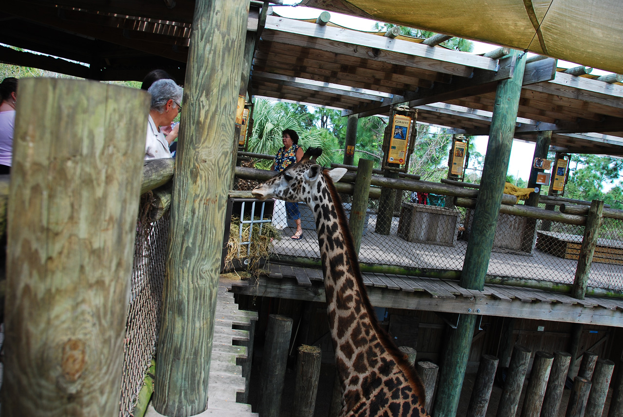 08-03-05, 054, Brevard Zoo, Fla