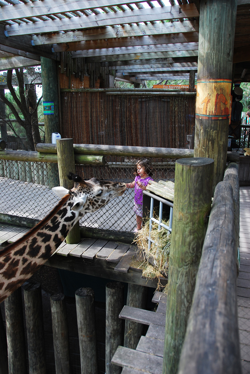 08-03-05, 065, Brevard Zoo, Fla