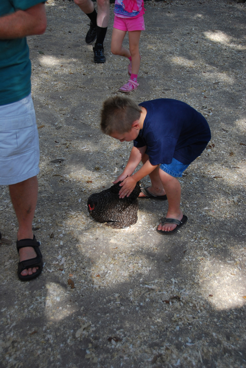 08-12-29, 023, Green Meadows Farm, Fla