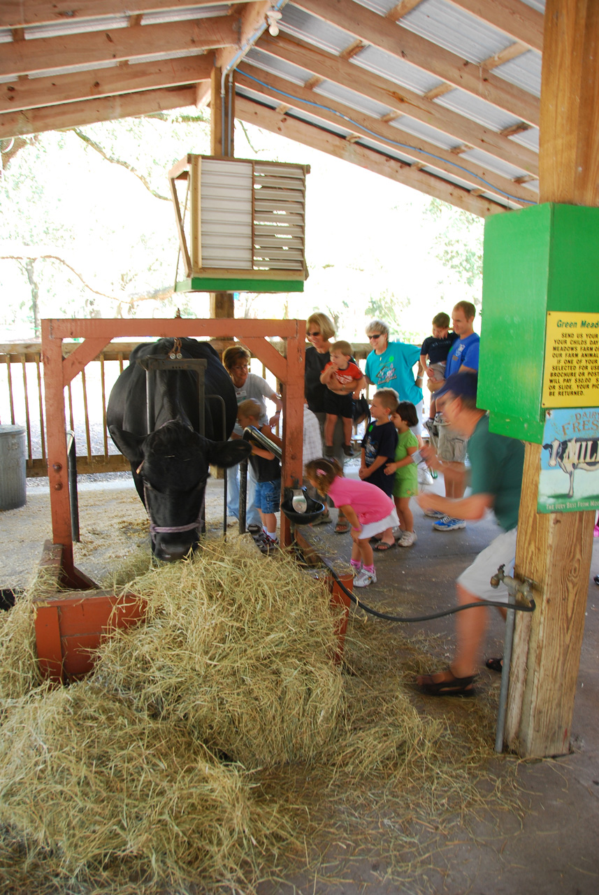 08-12-29, 039, Green Meadows Farm, Fla