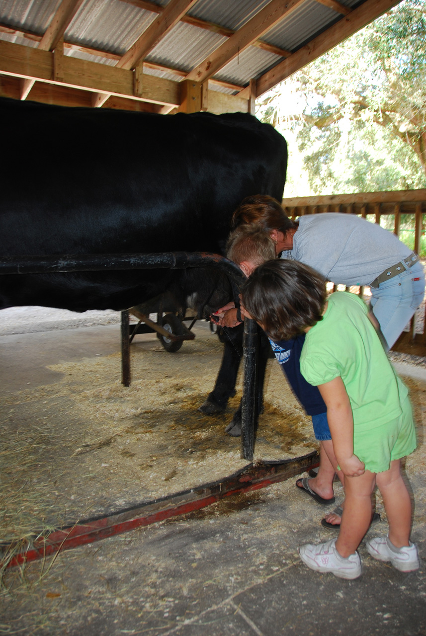 08-12-29, 041, Green Meadows Farm, Fla