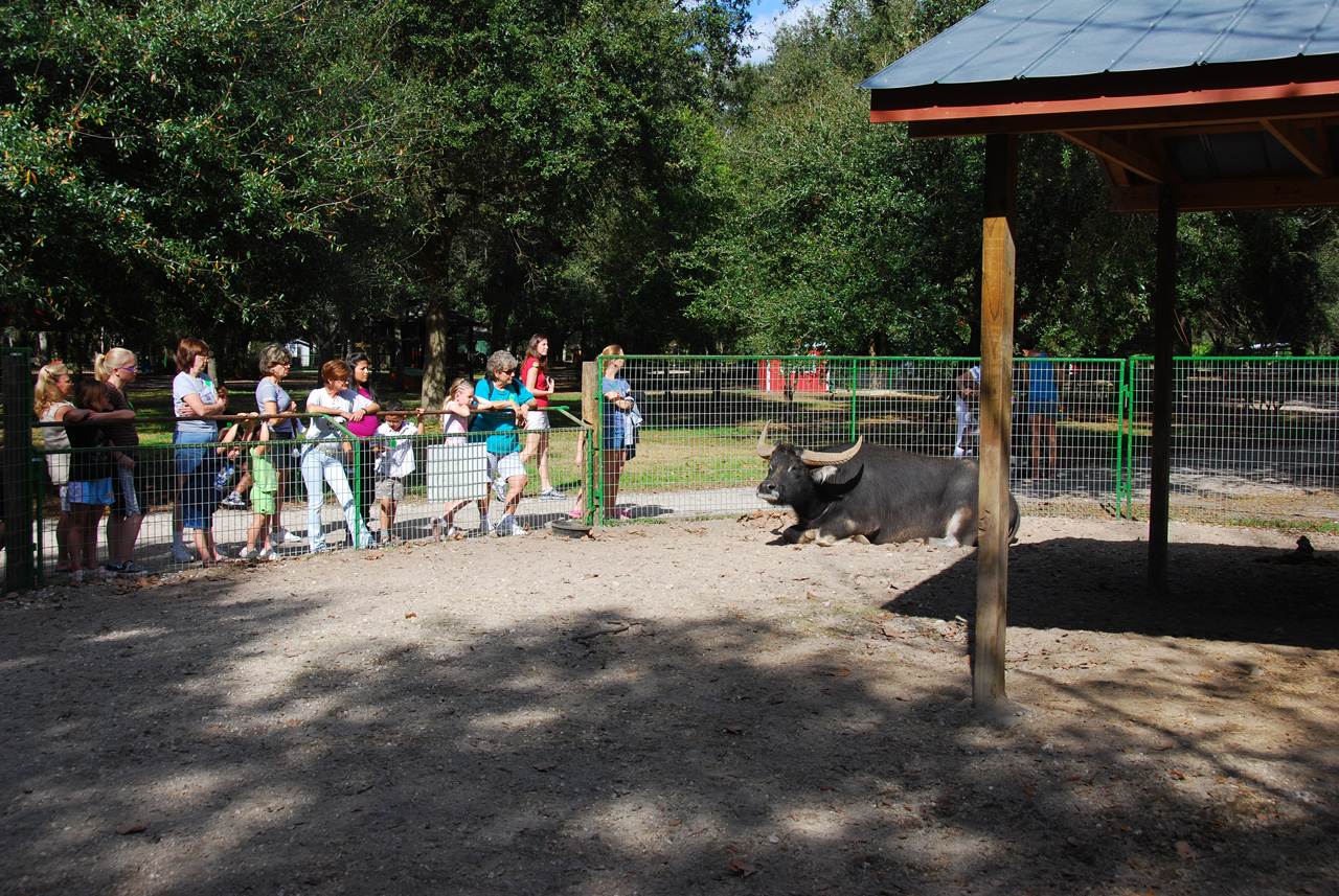 08-12-29, 047, Green Meadows Farm, Fla