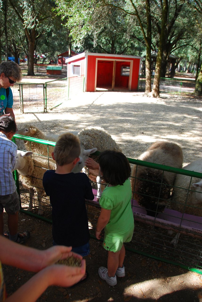 08-12-29, 053, Green Meadows Farm, Fla