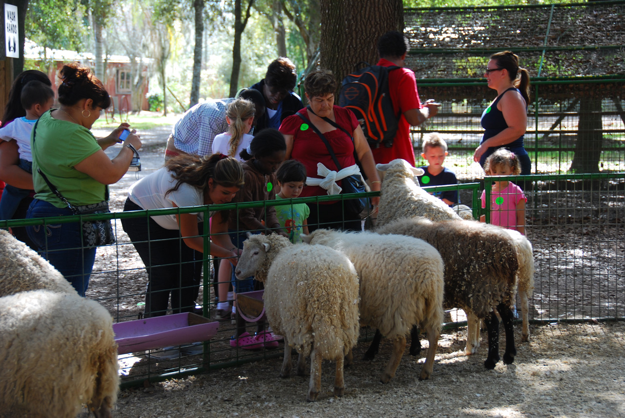 08-12-29, 054, Green Meadows Farm, Fla