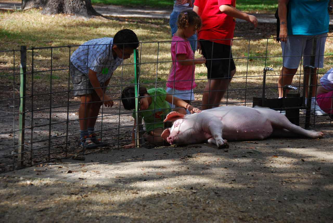 08-12-29, 071, Green Meadows Farm, Fla