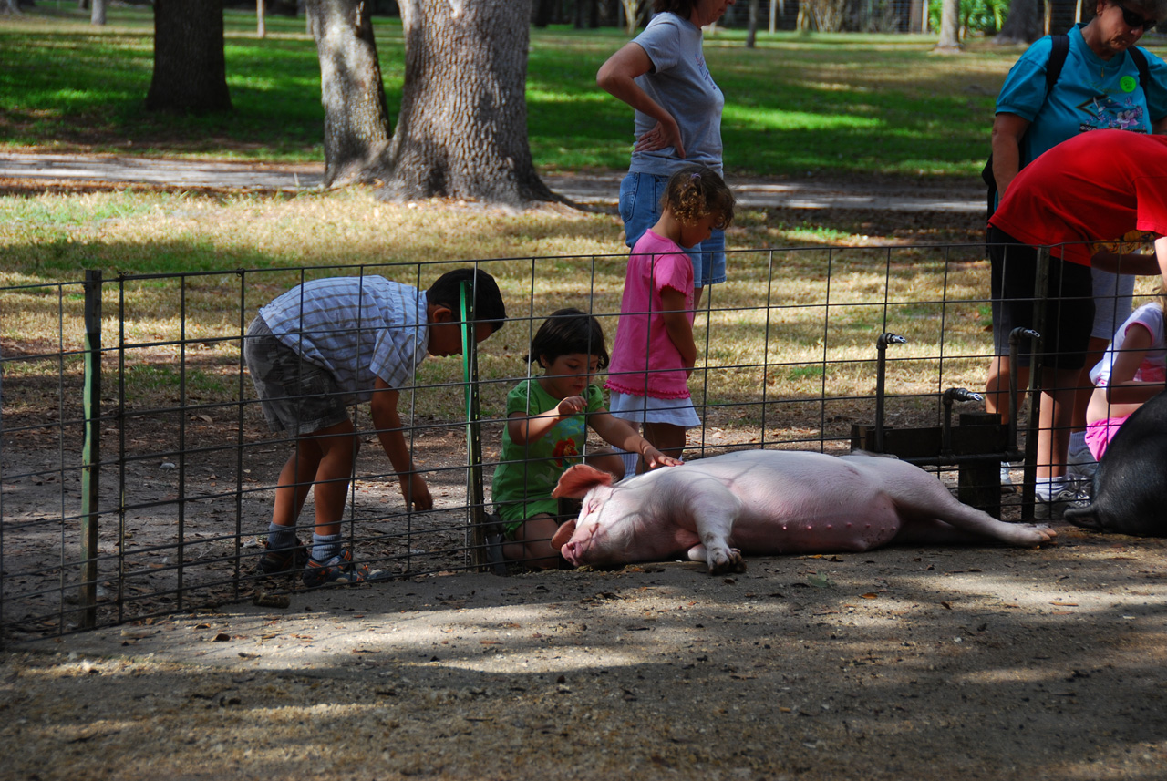 08-12-29, 072, Green Meadows Farm, Fla