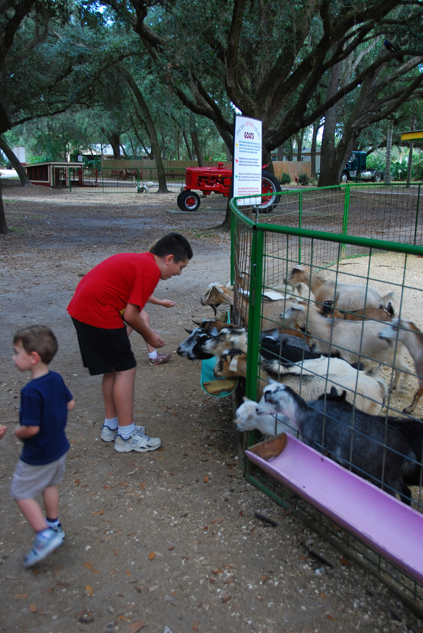 08-12-29, 079, Green Meadows Farm, Fla