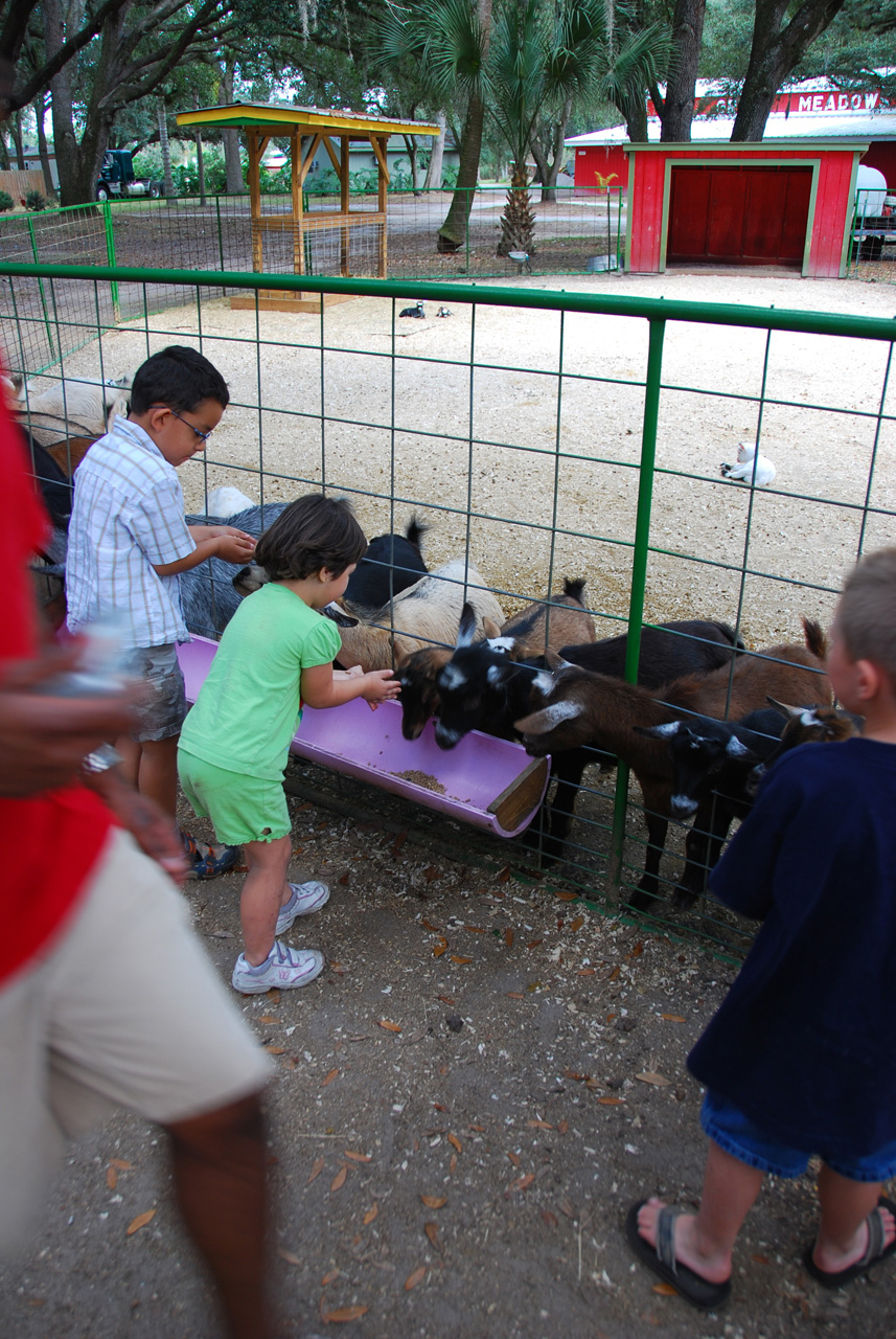 08-12-29, 082, Green Meadows Farm, Fla