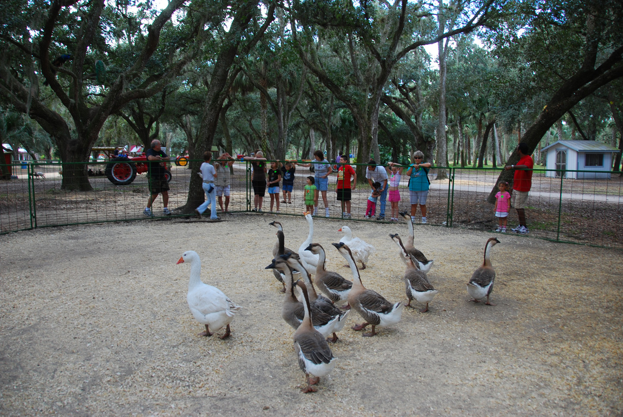 08-12-29, 085, Green Meadows Farm, Fla