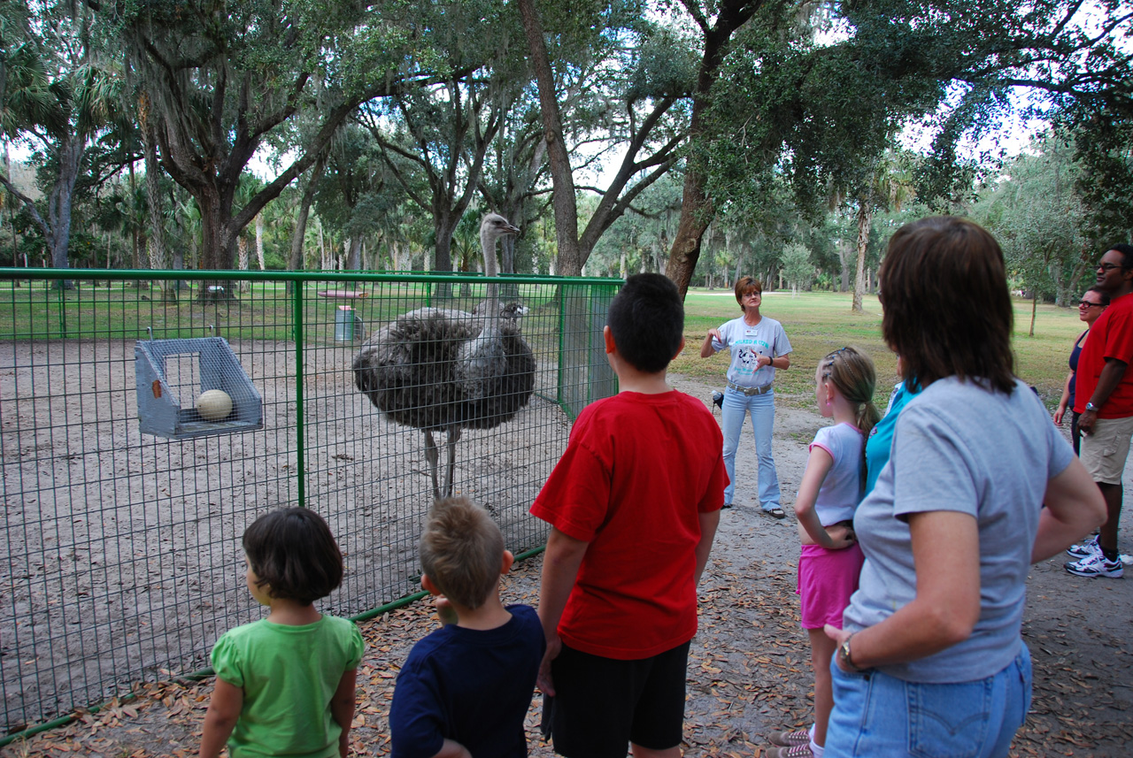 08-12-29, 090, Green Meadows Farm, Fla