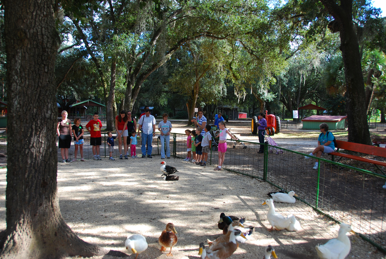 08-12-29, 091, Green Meadows Farm, Fla