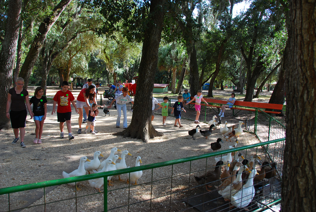 08-12-29, 093, Green Meadows Farm, Fla