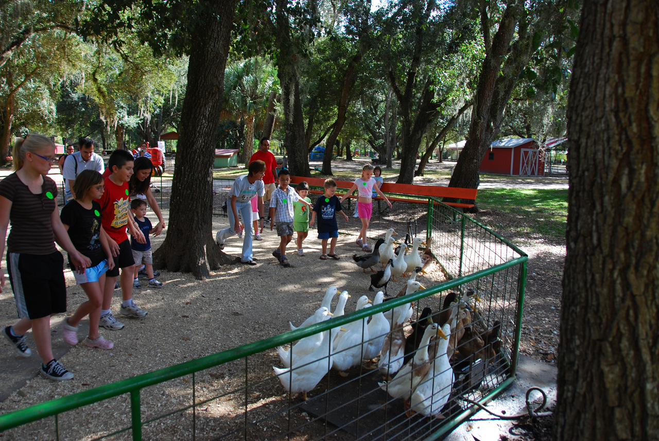 08-12-29, 094, Green Meadows Farm, Fla